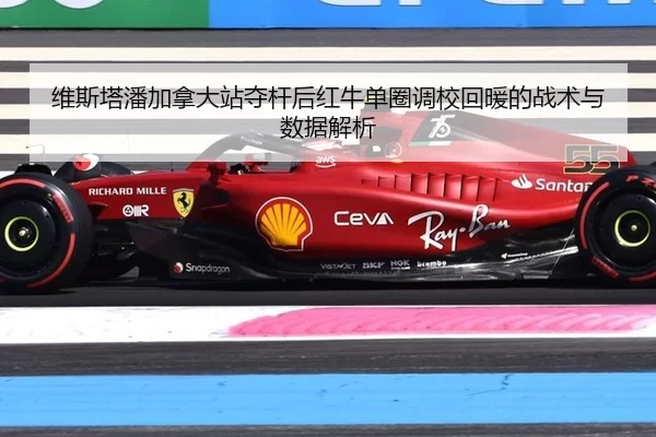 wei-si-ta-pan-jia-na-da-zhan-duo-gan-hou-hong-niu-dan-quan-diao-xiao-hui-nuan-de-zhan-shu-yu-shu-ju-jie-xi-2-279.jpg